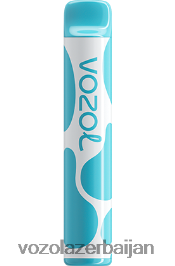 VOZOL JOYGO 600 V08B8F377 blueberry turş moruq - VOZOL Vape Price