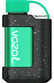 VOZOL GEAR 7000 V08B8F332 sərin nanə - VOZOL Vape Azerbaijan