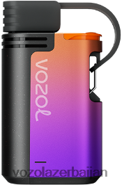 VOZOL GEAR 4000c/6000 V08B8F325 üzüm buzu - VOZOL Vape Buy Online