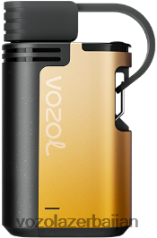 VOZOL GEAR 4000c/6000 V08B8F327 mango ehtiras meyvəsi - VOZOL Vape Price