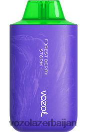 VOZOL STAR 6000/8000 v2 V08B8F59 meşə giləmeyvə fırtınası - VOZOL Vape Near Me