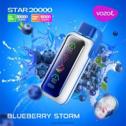 Vozol Vape Flavours qaragilə fırtınası P4P045 VOZOL STAR 20000